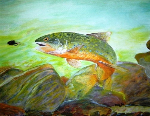 brookie02.jpg