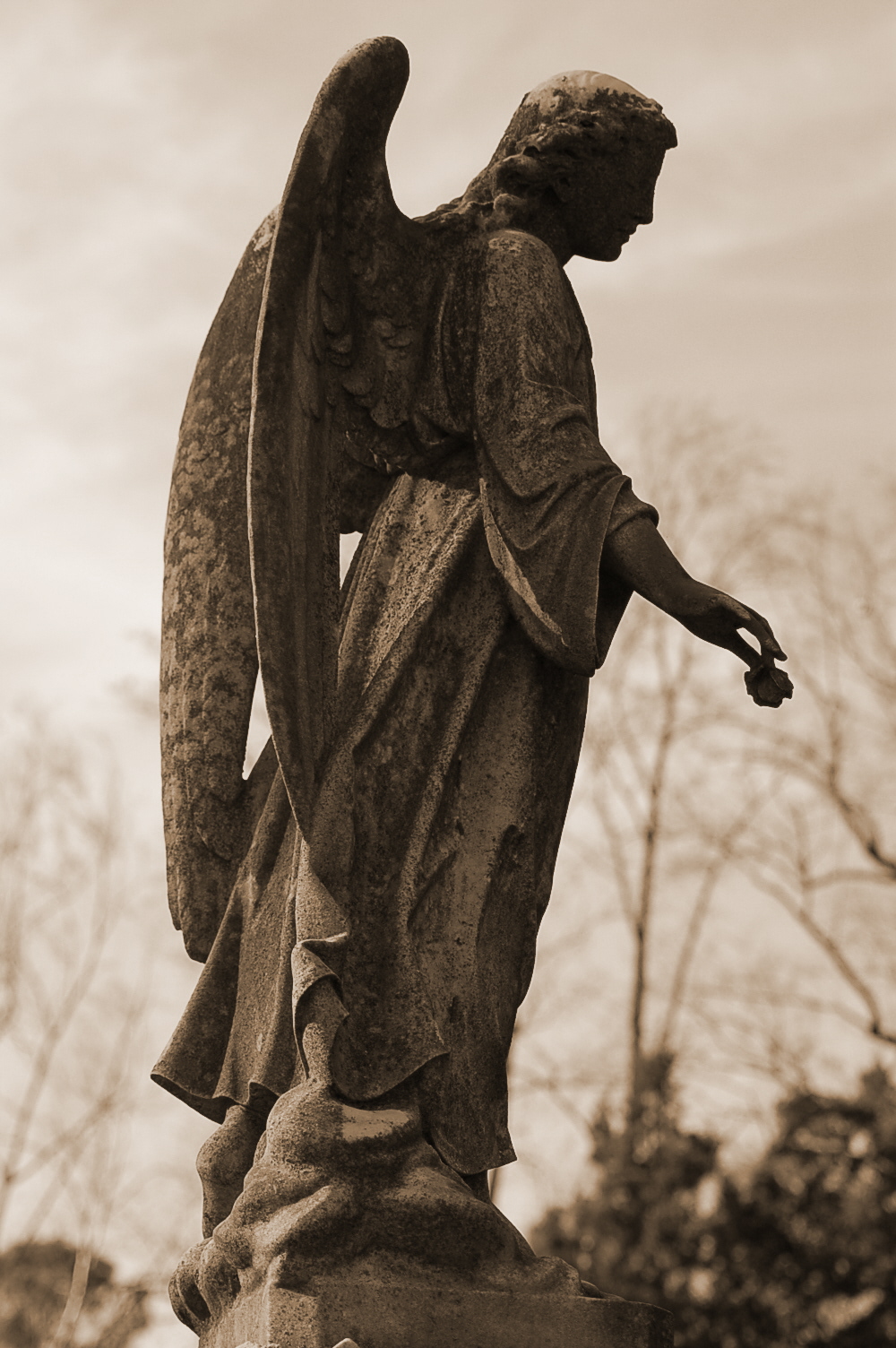 dsc0218sepia.jpg